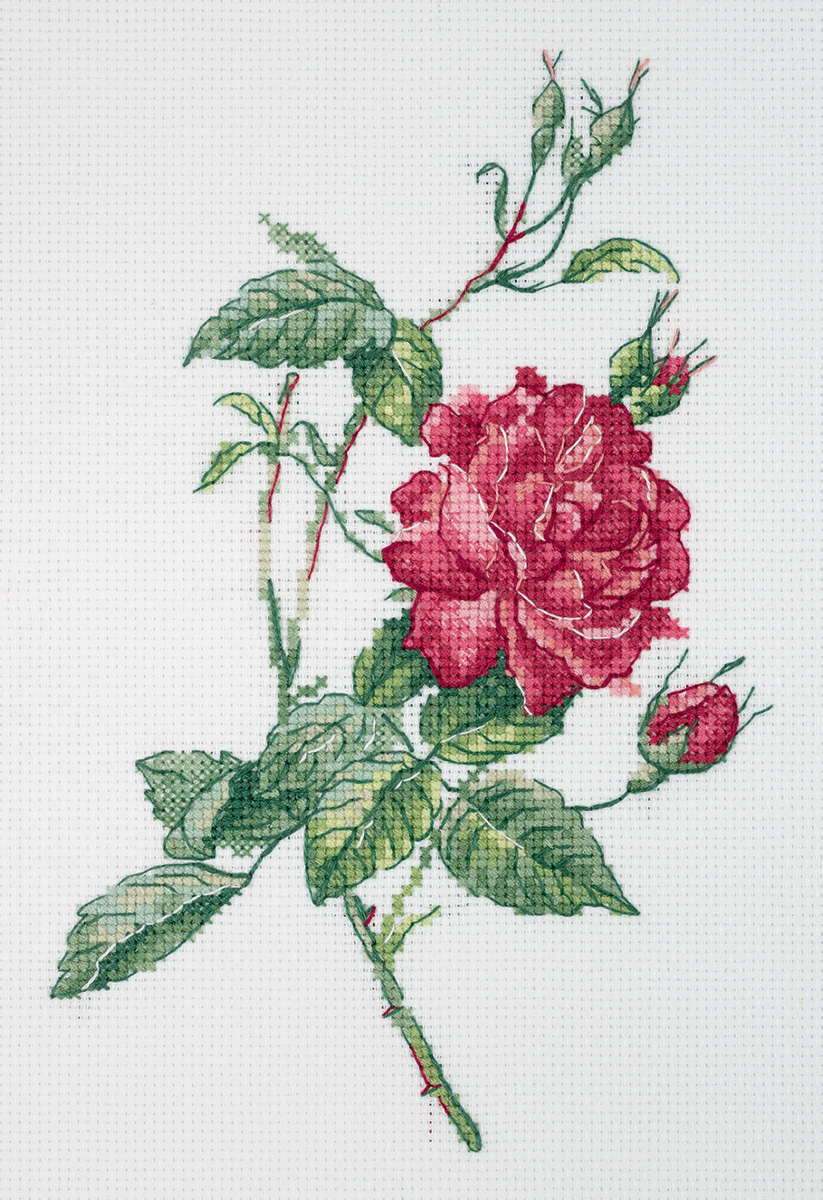 Embroidery kits PANNA 8-531